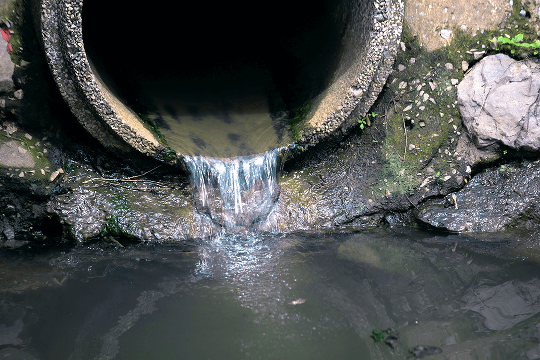The dangers that lurk in sewage water