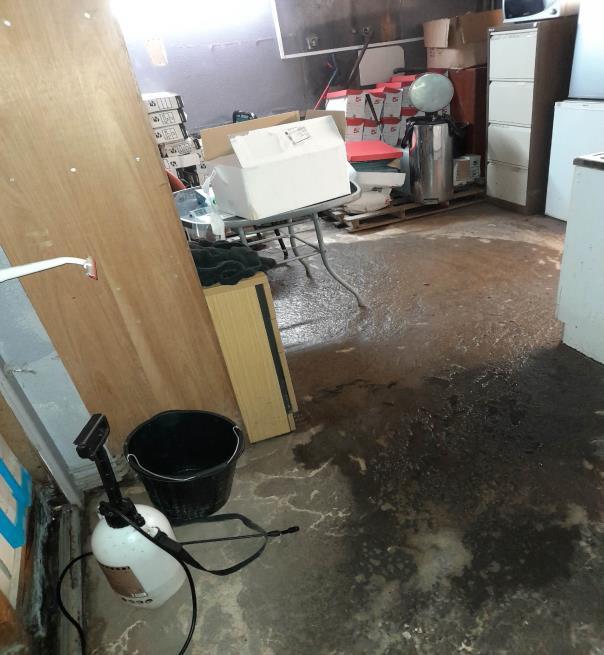 sewage leak in basement