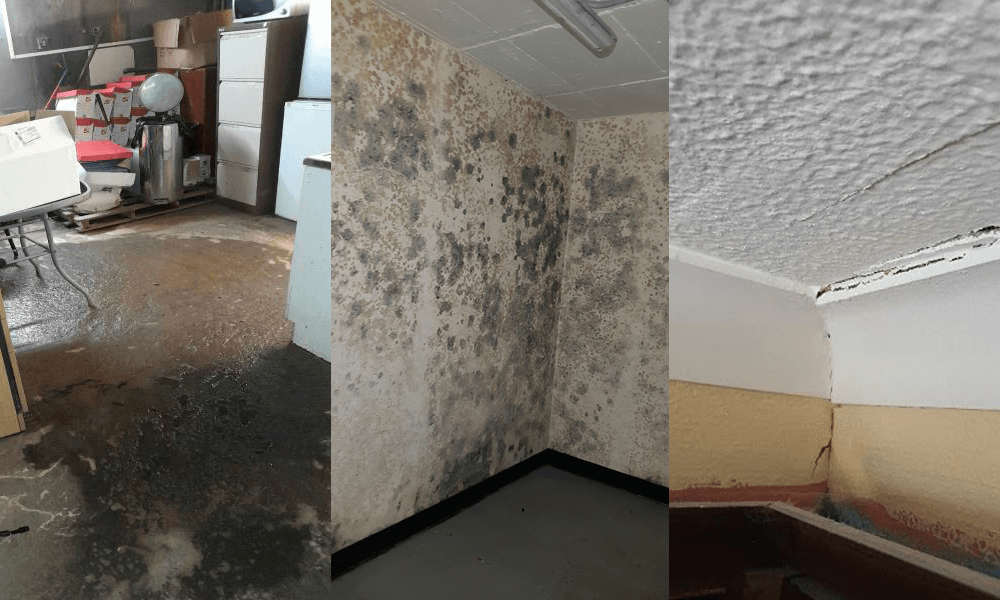 The Effects of Water Damage