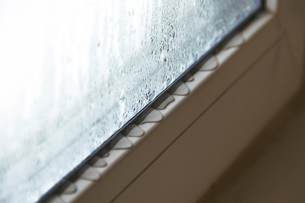 How to Prevent Condensation, Damp and Mould in your Home