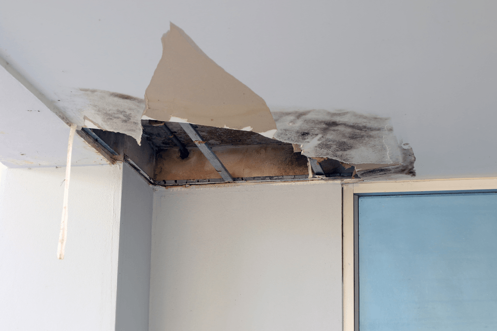 How to protect your home or business from water damage