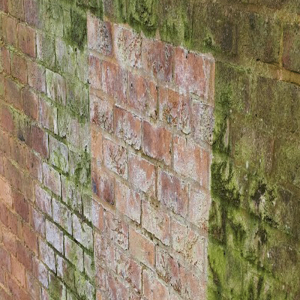 Brick and Stone Test Clean for School in London