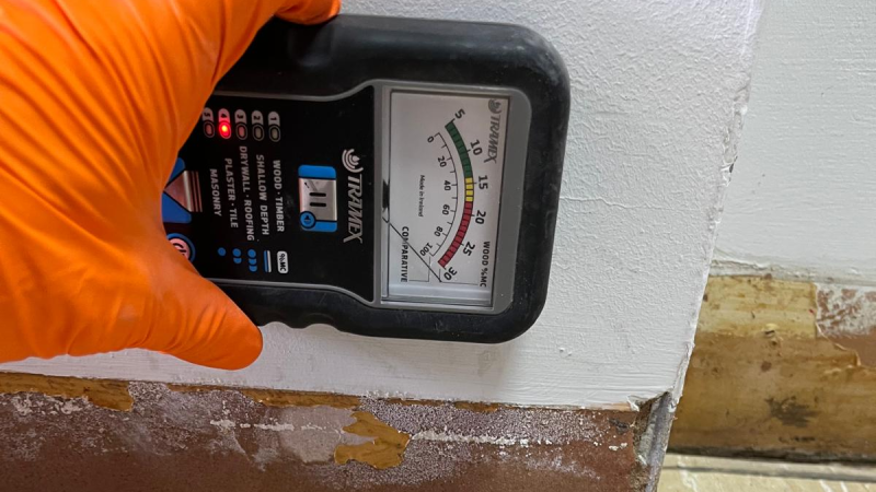 Moisture mapping survey